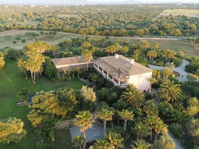 Chalet, Santa Margalida