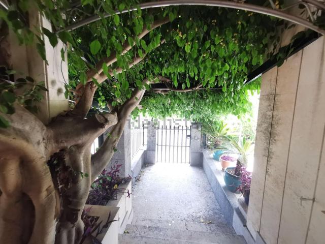 Chalet, Santa Margalida