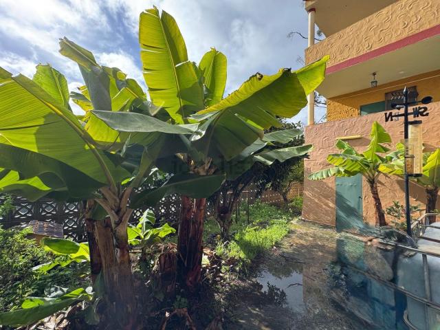 Chalet, Santa Maria de Guia de Gran Canaria