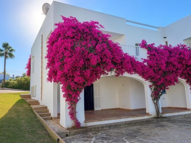 Chalet, Santanyí