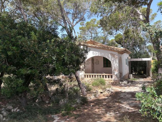 Chalet, Santanyí