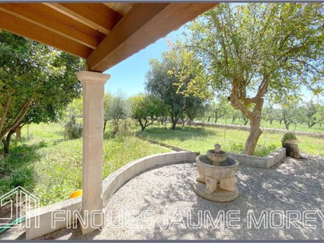 Chalet, Selva