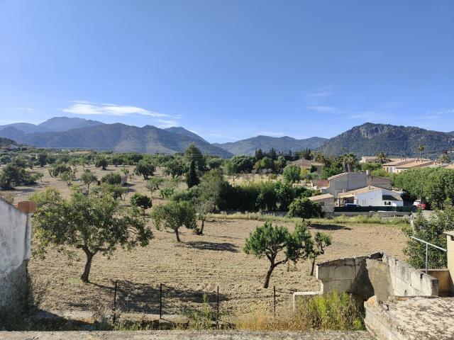 Chalet, Selva