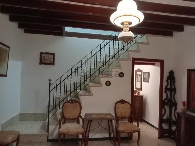 Chalet, Selva