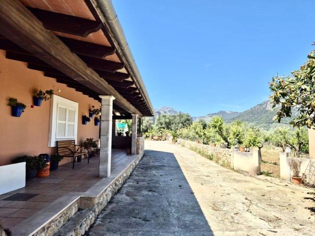 Chalet, Selva