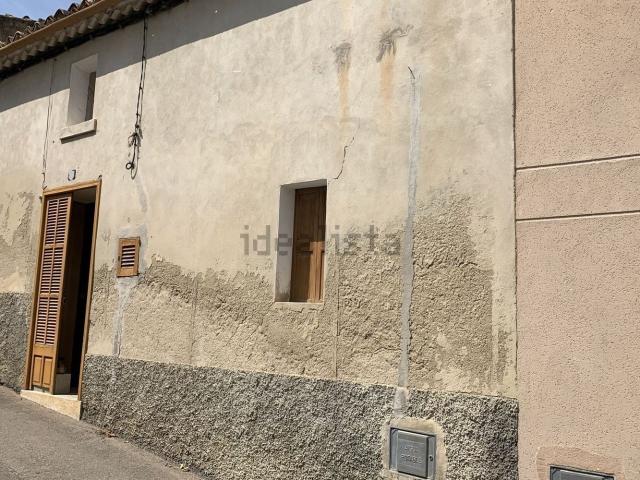 Chalet, Selva