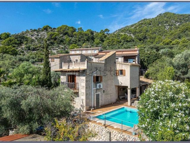 Chalet, Selva