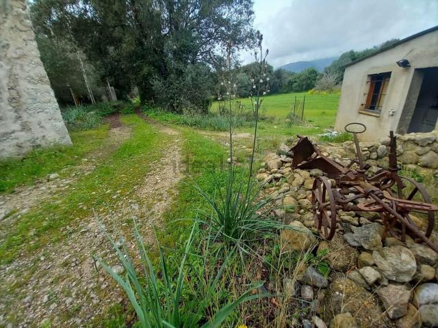 Chalet, Selva