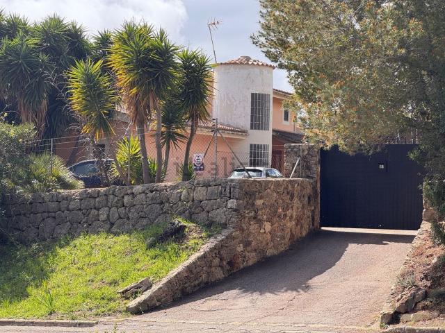 Chalet, Selva