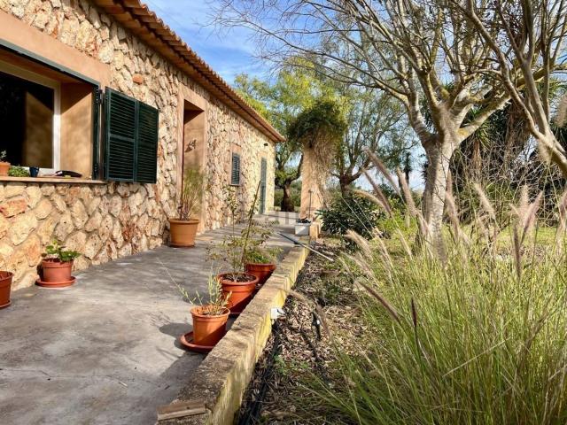 Chalet, Sencelles