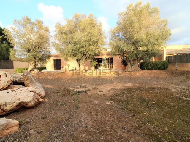 Chalet, Ses Salines Mallorca