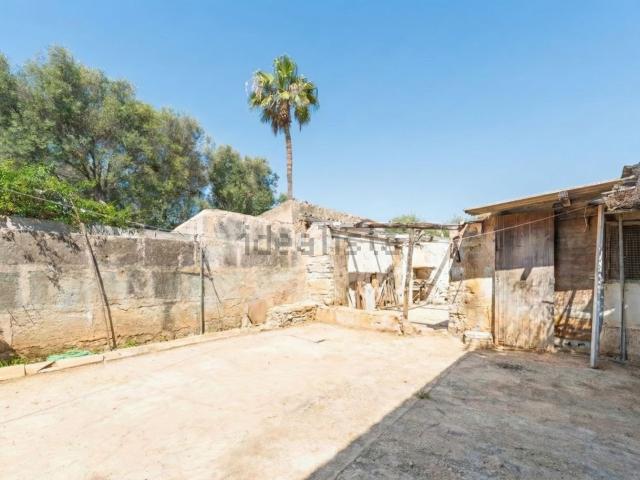 Chalet, Ses Salines Mallorca