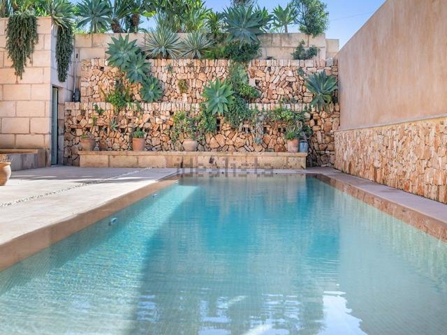 Chalet, Ses Salines Mallorca