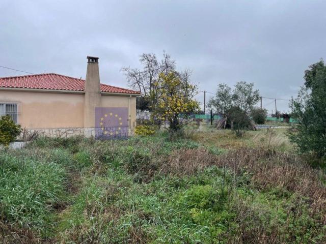 Chalet, Sierra de Fuentes