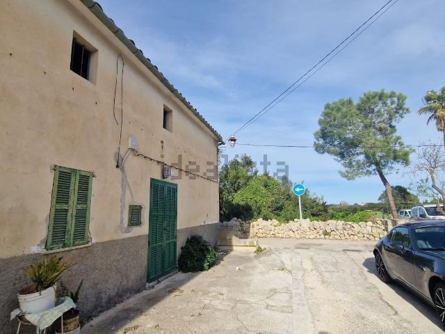 Chalet, Sineu