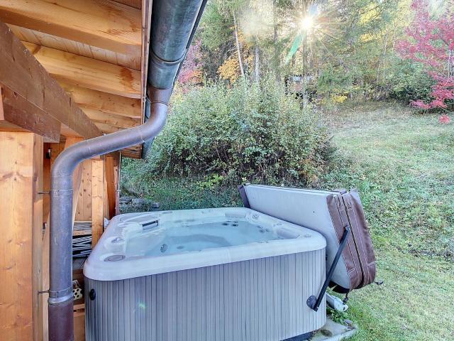 Chalet sur les hauteurs de Saxon Vue imprenable et tranquillité garantie | dreamo. Ch