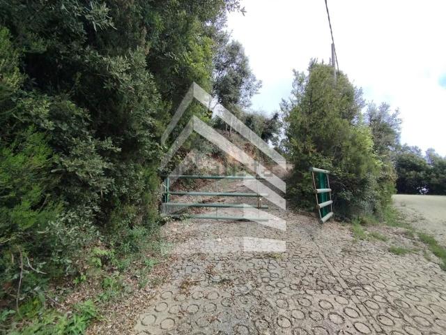 Chalet, Susqueda