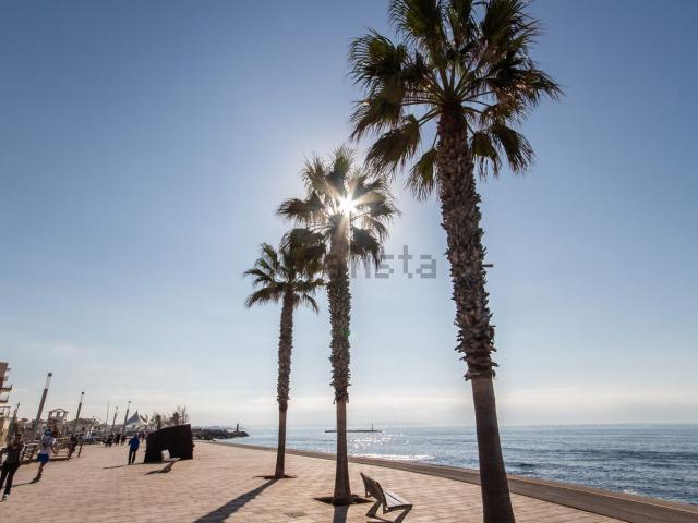 Chalet, Palma de Mallorca