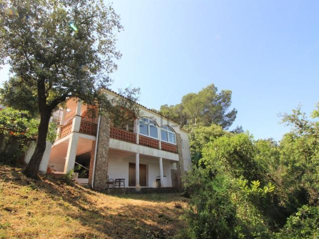 Chalet, Pals