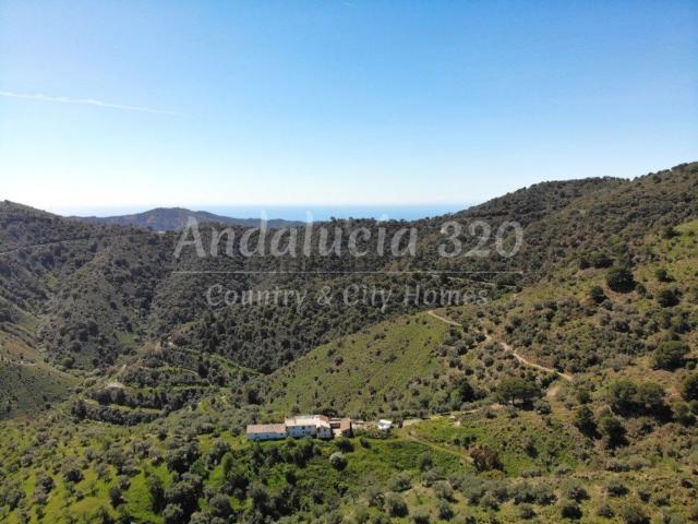Chalet, Pedregalejo Morlaco, Málaga