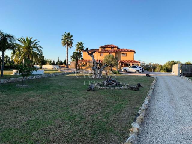 Chalet, Pedreguer