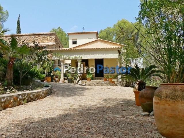 Chalet, Pedreguer