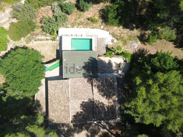Chalet, Pego