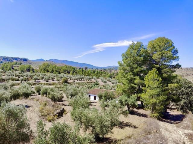 Chalet, Penaguila