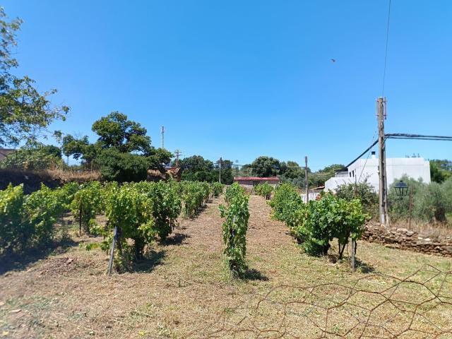 Chalet, Perales del Puerto