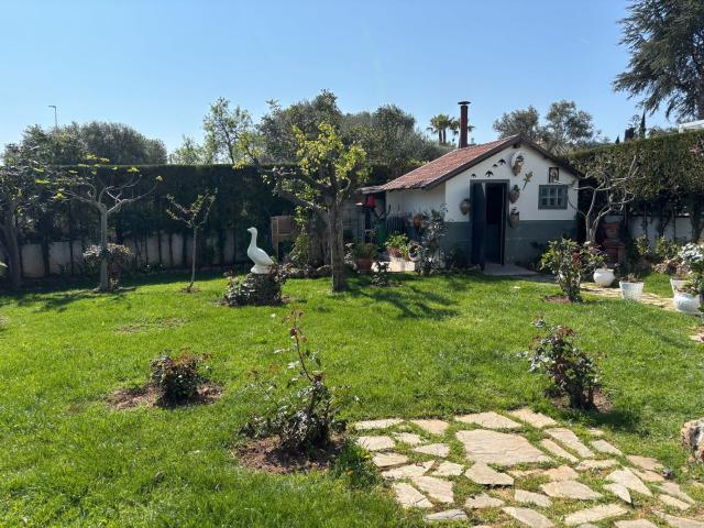 Chalet, Peñíscola