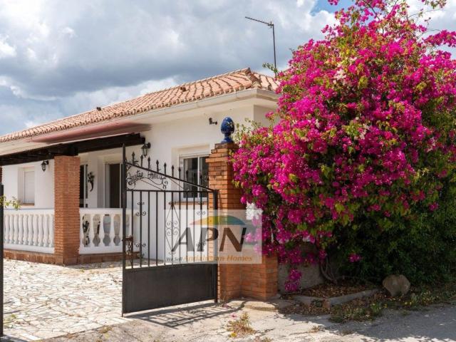 Chalet, Pizarra