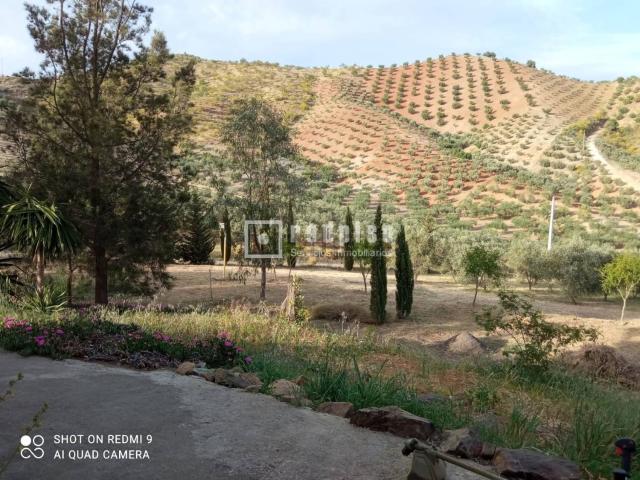 Chalet, Pizarra