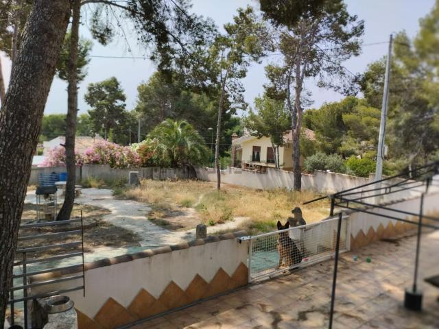 Chalet, Pilar de la Horadada
