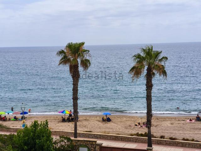 Chalet, Pino Alto, Mont Roig del Camp