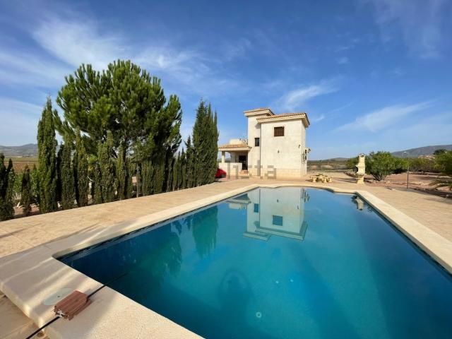 Chalet, Pinoso