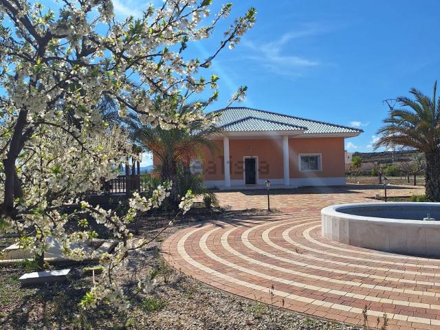 Chalet, Pinoso