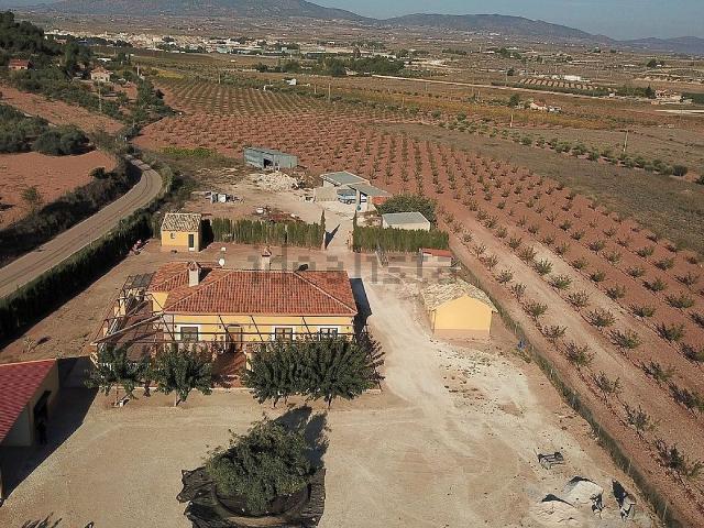 Chalet, Pinoso