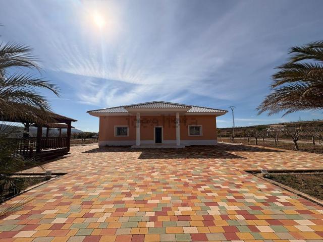 Chalet, Pinoso