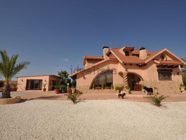 Chalet, Pinoso