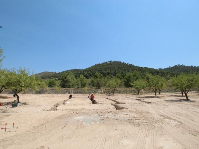 Chalet, Pinoso