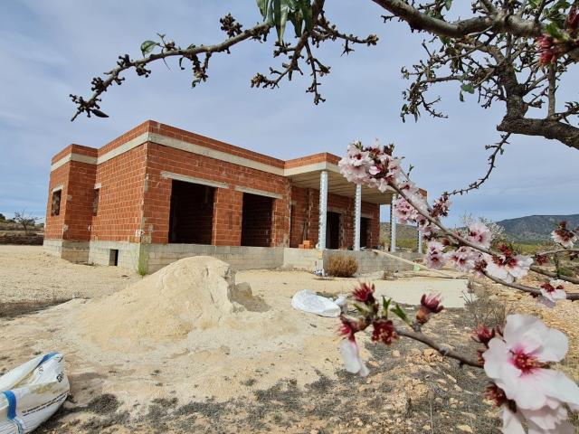 Chalet, Pinoso