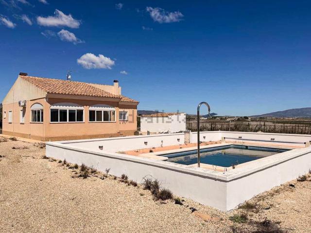 Chalet, Pinoso