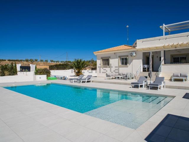 Chalet, Pinoso