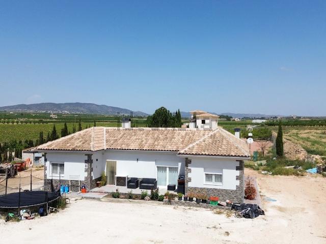 Chalet, Pinoso
