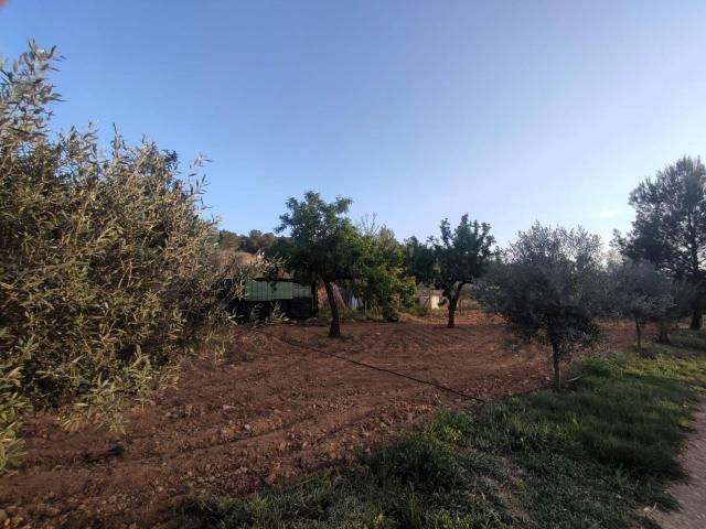 Chalet, Pinoso