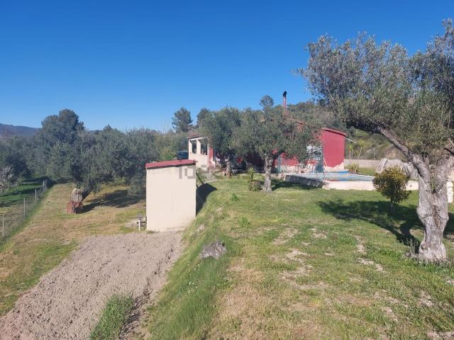 Chalet, Planes