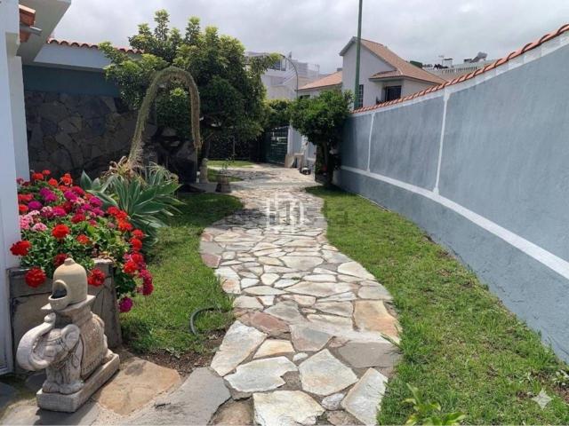 Chalet, Puerto de la Cruz