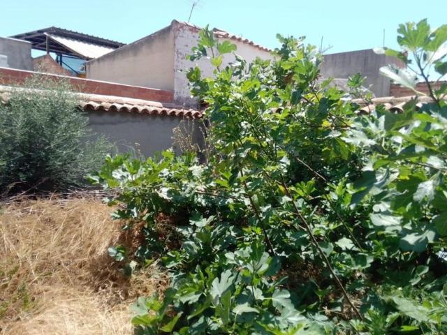 Chalet, Puertollano
