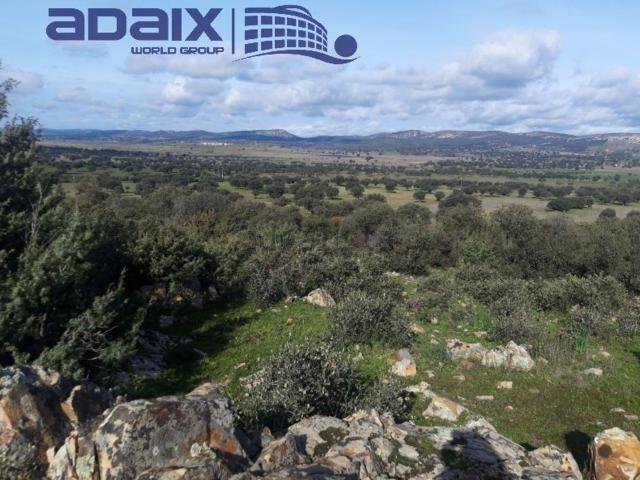 Chalet, Puertollano
