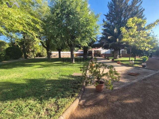 Chalet, Puertollano